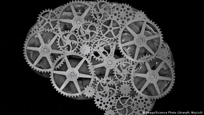 Kreativität Gehirn (Imago/Science Photo Library/A. Wojcicki)