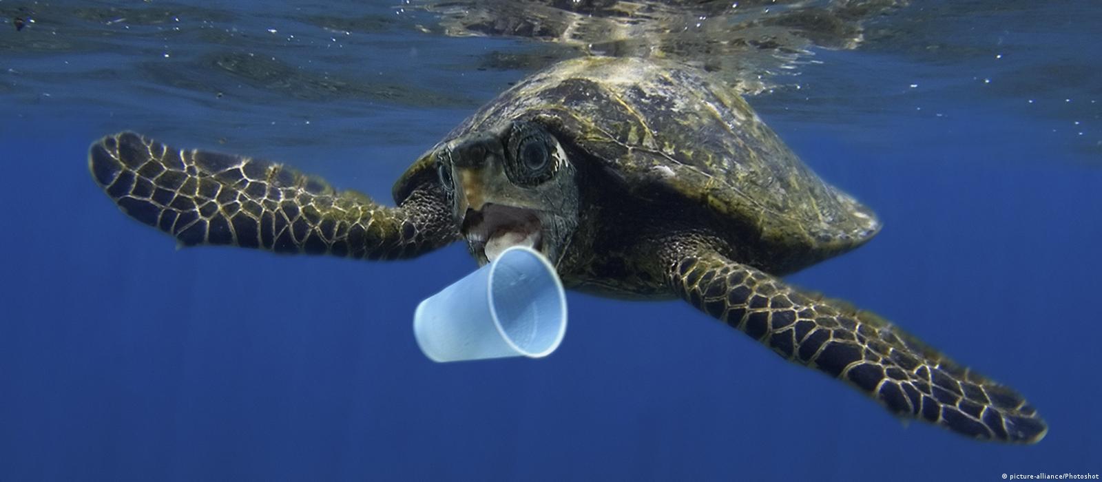 EU Commission unveils plans for plastic waste ban – DW – 05/28/2018