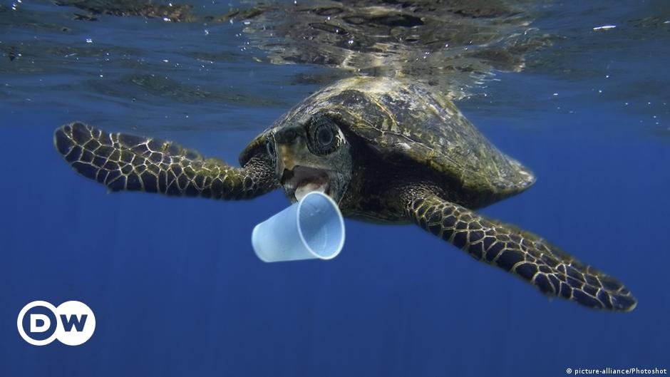 UN resolves to end ocean plastic waste – DW – 12/07/2017