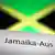 Слово года - "Jamaika-Aus"