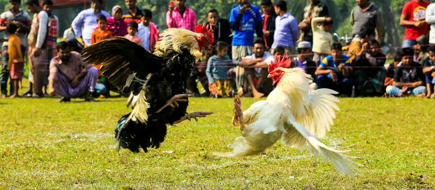 Jinsiy xayollarga ega yigitga erotik xat