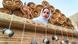 Iran Bildergalerie KW50 | Bamboo Mat Iran Bildergalerie KW50 | Bamboo Mat
