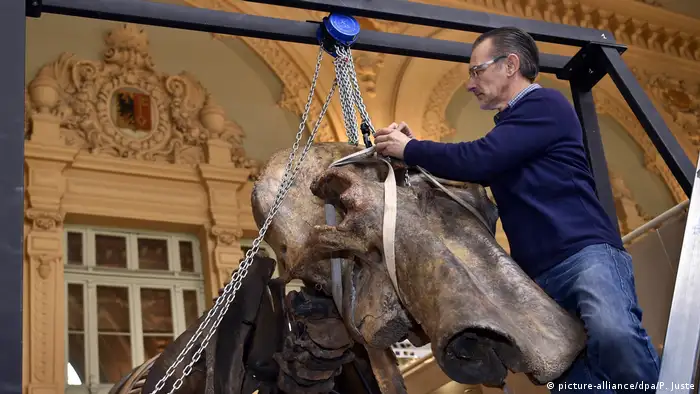 Auction of a mammoth skeleton in Lyon (picture-alliance/dpa/P. Juste)