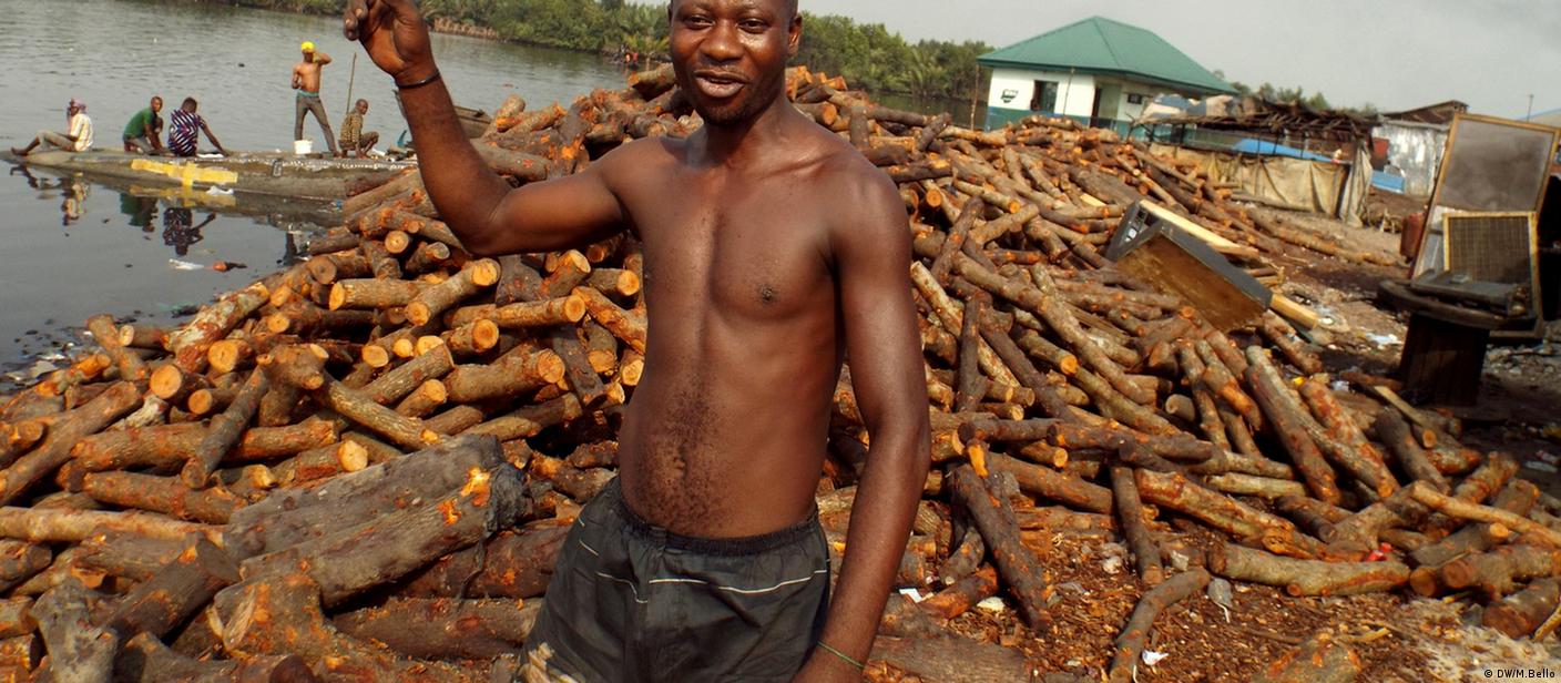 Charcoal: exported by Africa, bought by Europe – DW – 12/23/2017