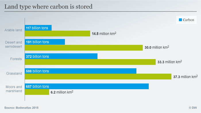 Infographic showing types of land where carbon is stored