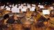 Orchester - Symbolbild Orchester - Symbolbild