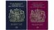 UK Passport - neu und alt UK Passport - neu und alt