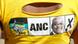 An ANC sticker on a woman's back An ANC sticker on a woman's back