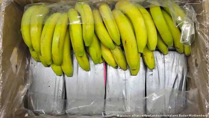 Deutschland Kokain in Bananenkisten aus Ecuador
