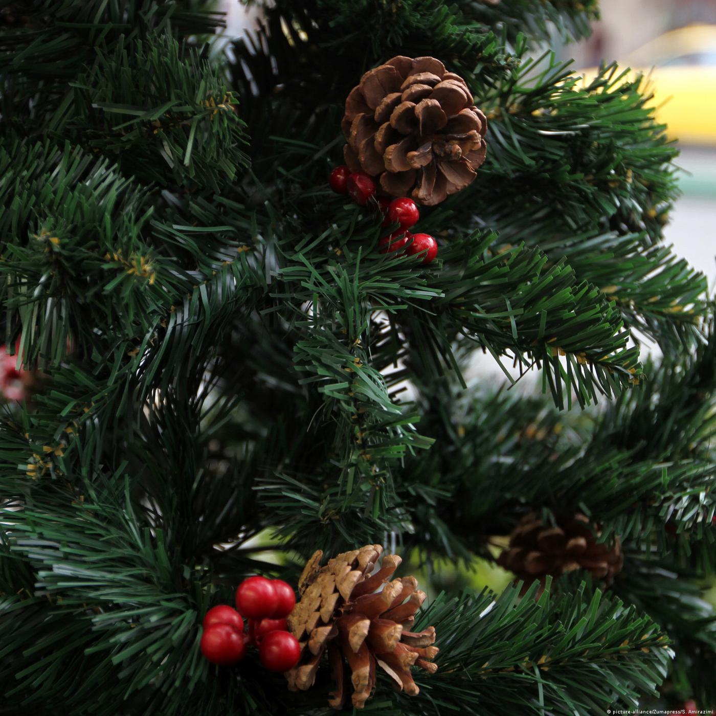 Living Planet: Christmas after climate change