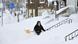 Woman clears snow from house entrance Woman clears snow from house entrance