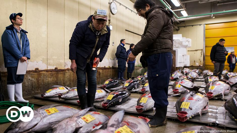 World-famous Tokyo fish market holds final auction
