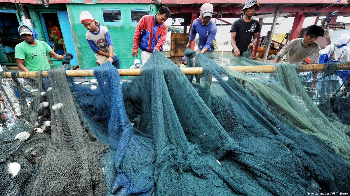Can fishing in Indonesia be sustainable? – DW – 01/10/2022