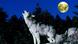 A wolf has tipped back its head. The moon in the background A wolf has tipped back its head. The moon in the background