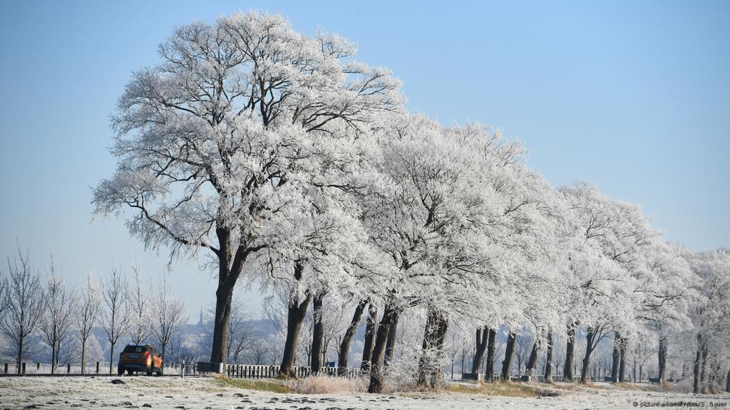 Snezhnaya Zima Na Severe Germanii Kadr Dnya Dw 09 01 2018