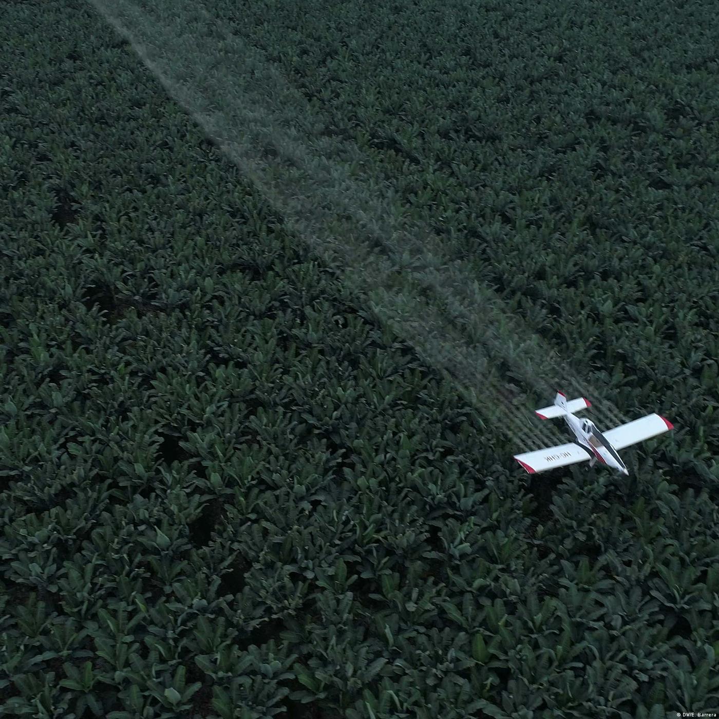 Living Planet: The pesticide cycle