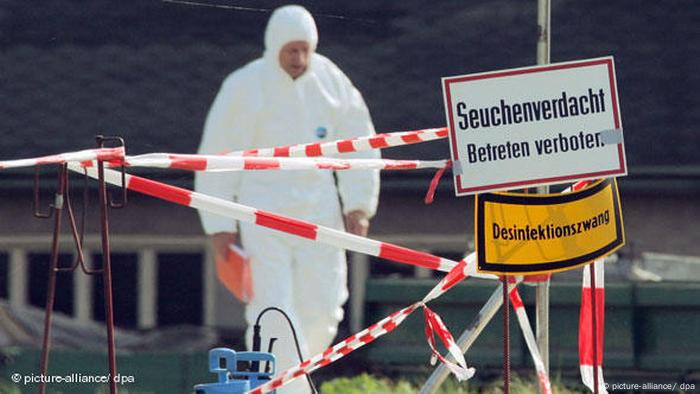 Das Nipah Virus Selten Und Hochgefahrlich Wissen Umwelt Dw 09 09 2021