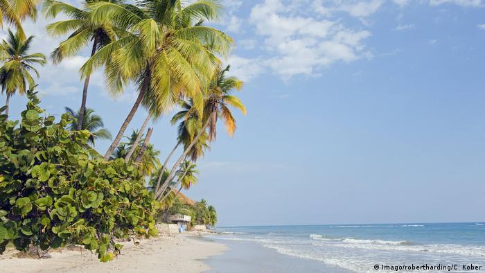 Haiti Palmen am Strand von Jacmel