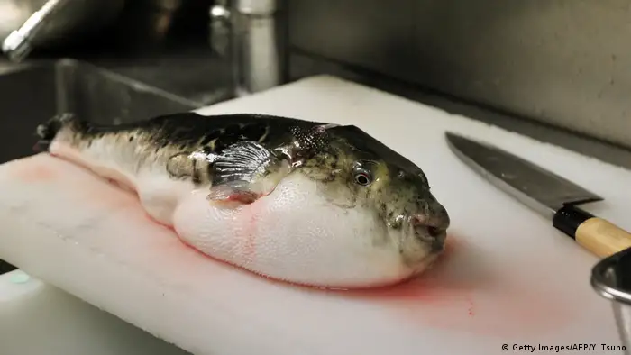 One of the most expensive delicacies in Japanese cuisine is fugu, a pufferfish, whose liver, intestines and ovaries contain a lethal neurotoxin known as tetrodotoxin. Only those with a special license are allowed to handle the fish, which has claimed several lives over the last decade. Death from fugu is said to be very painful.