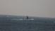 Chinese submarine in the East China Sea Chinese submarine in the East China Sea