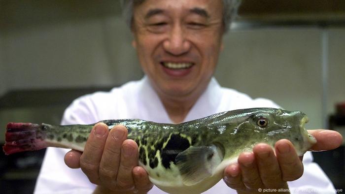 Fugu