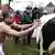 Cow tests out potential sacred ground in Germany