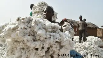 Baumwollernte Elfenbeinküste