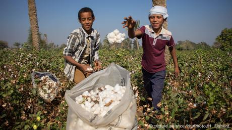 Verbieten Reicht Nicht Kinderarbeit In Afrika Afrika Dw 12 06 2019