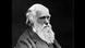 Charles Darwin Charles Darwin