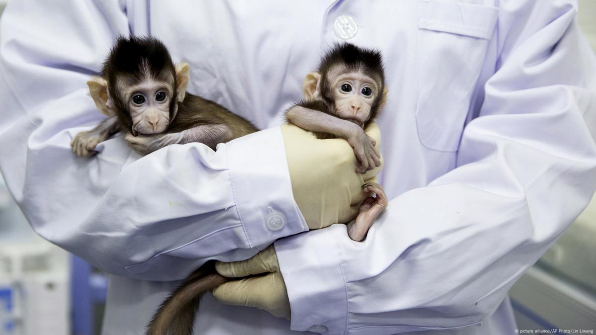 cloning humans with animals