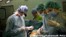 МОЗ: Цього року в Україні проведуть 300 трансплантацій кісткового мозку
