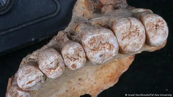 Israel rund 180 000 Jahre alte Überreste des Homo sapiens entdeckt (Israel Hershkovitz/Tel Aviv University)