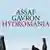 Cover des Buches Hydromania von Assaf Gavron