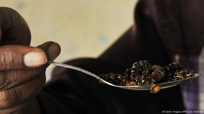 A person eats grilled caterpillars with olive oil