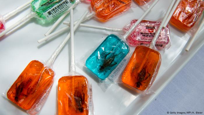 Lollipops made with insects are on a table