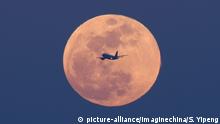 A plane flies across the blood Supermoon in Dalian city, northeast China's Liaoning province, 31 January 2018. A red moon will grace the sky in most parts of China for over an hour during a total lunar eclipse on Wednesday (31 January 2018) night, according to the Beijing Planetarium. The lunar eclipse, which is expected to begin at 7:48 p.m., will last for about five hours. As the moon passes into Earth's shadow, it will exhibit a reddish tinge as the sunlight is refracted while shining through Earth's atmosphere. The red moon is expected to be visible between 8:51 p.m. and 10:08 p.m., lasting about one hour and 17 minutes. The moon will also appear bigger as its orbit is near its closest point to Earth. The last time a complete lunar eclipse occurred was September 28, 2015. The next lunar eclipse will happen on July 28. Foto: Shi Yipeng/Imaginechina/dpa |