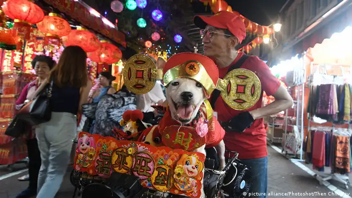 China Neujahrsfest | Jahr des Hundes