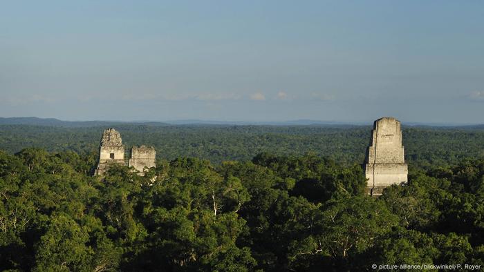 maya metropole im dschungel von guatemala entdeckt kultur dw 03 02 2018