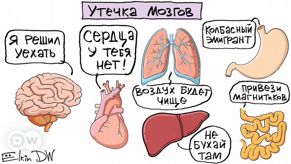 Утечка мозгов. Утечка мозгов в России. Утечка мозгов карикатура. Мозг сваливает.