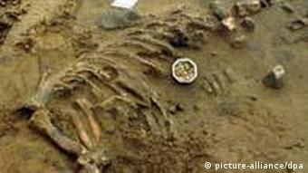 Maultierskelett aus der Varus Schlacht entdeckt auf Schlachtfeld