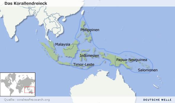 Terumbu Karang Terancam Punah | IPTEK: Laporan seputar sains dan