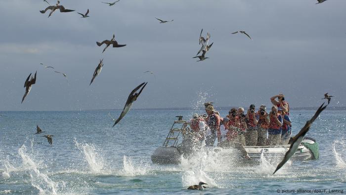 Chinesische Fischfangflotte Vor Galapagos Beunruhigt Ecuador Asien Dw 31 07