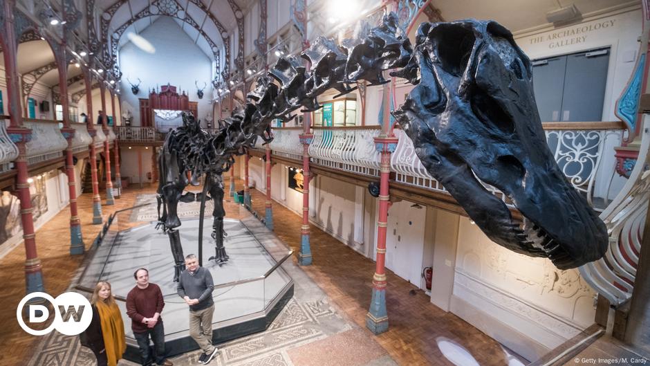 UK's 'Dippy' the Diplodocus dinosaur goes on first tour – DW – 02/09/2018