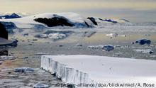 Packeis und Treibeis, Antarktis, Suedpolarmeer | drifting ice and pack ice, Antarctica, Suedpolarmeer | Verwendung weltweit