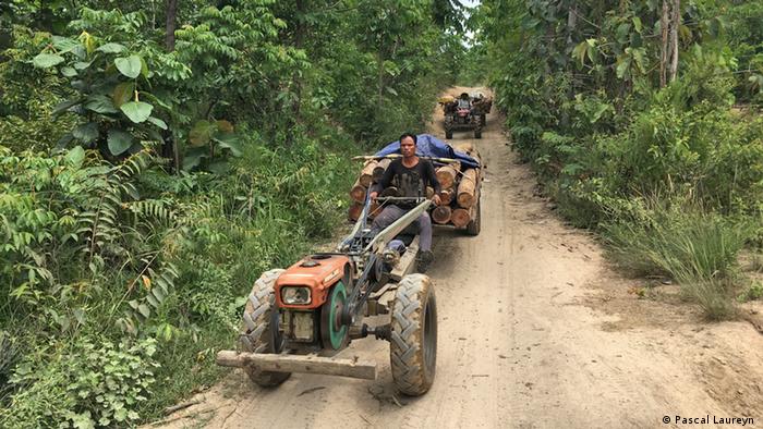 Two tractors transporting timber in Aoral Wildlife Sanctuary, Cambodia 