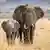 Elefanten Tag des Artenschutzes