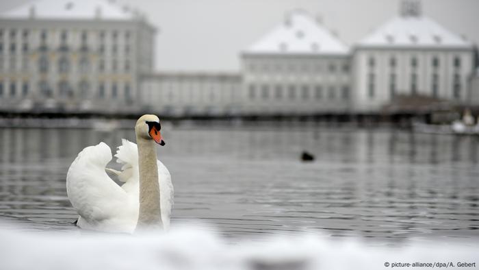 Nymphenburg palace