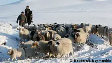 西伯利亚的冬天：这才是真冷！