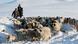 Russland Nomaden mit Schafherden in Sibirien Russland Nomaden mit Schafherden in Sibirien