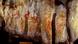 Arte rupestre em Pasiega foi feita por neandertais Arte rupestre em Pasiega foi feita por neandertais